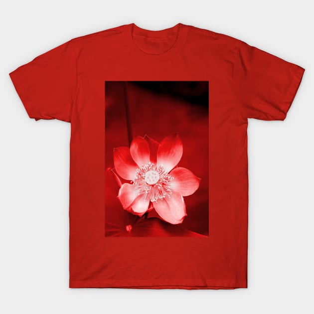 Red Lotus T-Shirt by Carole-Anne